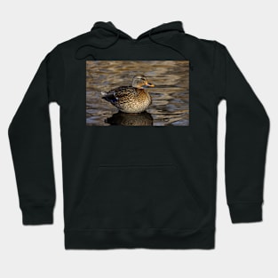 Female Duck Relaxing in the Lake Hoodie